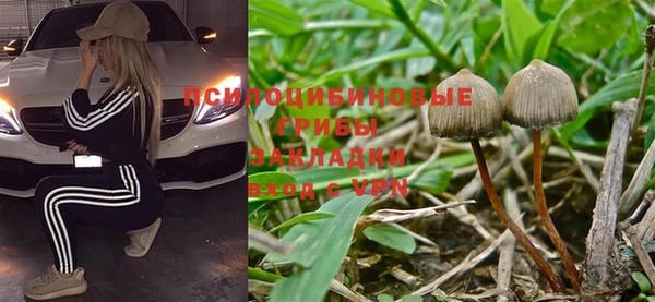 гидропоника Заволжье