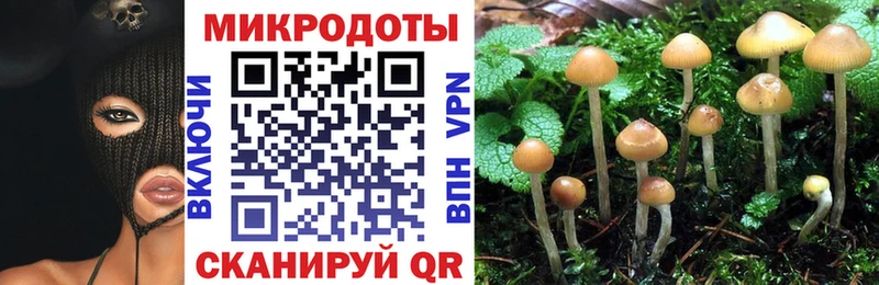 Купить закладки  Островной  Галлюциногенные грибы Cubensis 
