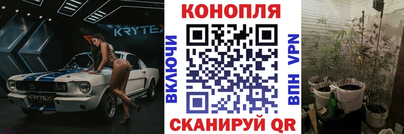Бошки Шишки ГИДРОПОН  Купить  Островной 